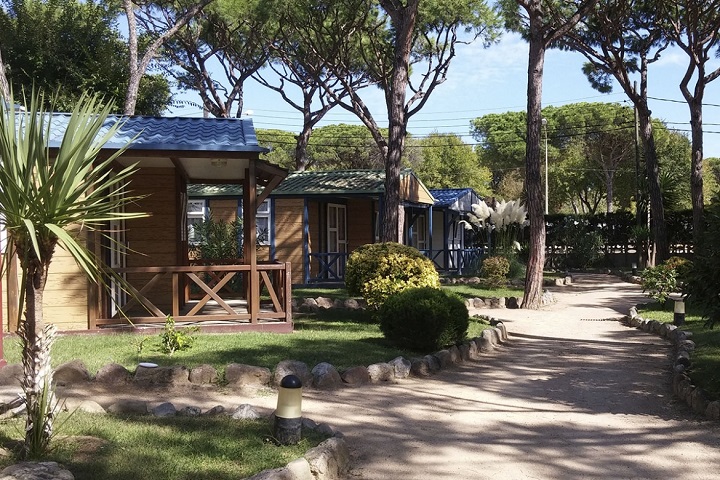 Camping Bella Terra  ****