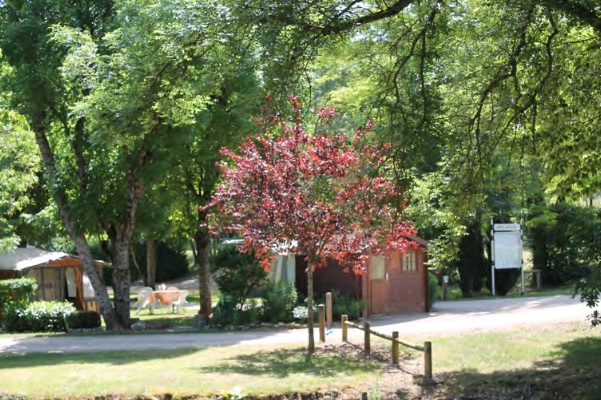 Camping Sainte Marie Sur Ouche